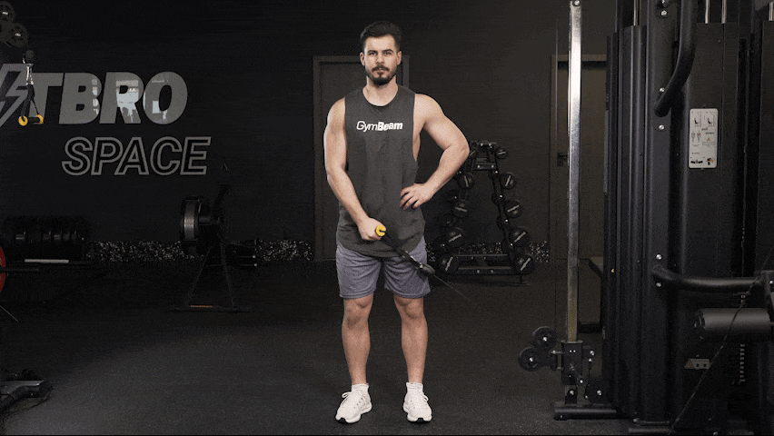 So führt man einen Single Arm Cable Lateral Raise richtig aus