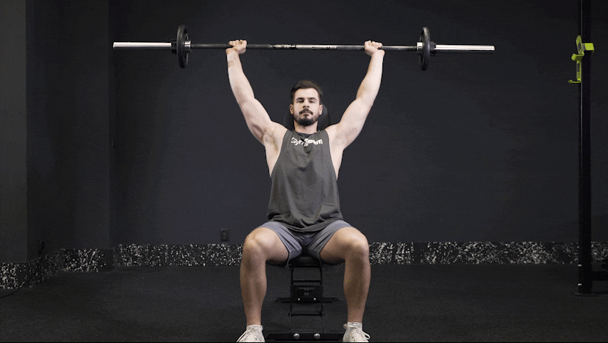 Wie führt man die Seated Barbell Press richtig aus
