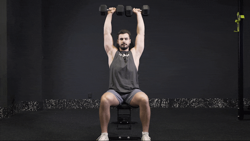 So führt man die Seated Dumbbell Press richtig aus