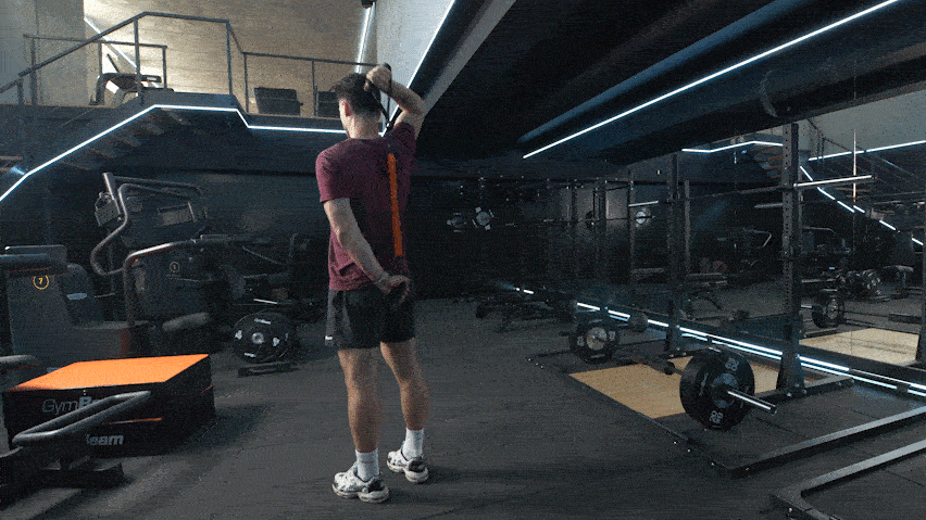 Trizeps Curls mit einem Widerstandsband Trizeps Curls mit einem Widerstandsband