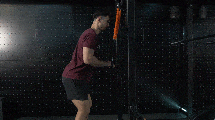 Trizeps Pull Down mit einem Widerstandsband Trizeps Pull Down mit einem Widerstandsband