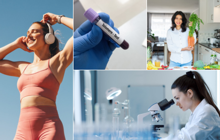 Wie verlangsamt man das Altern? Die Antwort liegt in den Telomeren.