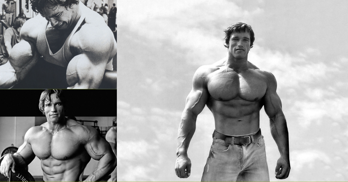 Arnold Schwarzenegger Training Ernahrung Und Motivation Der Bodybuilding Legende Gymbeam Blog