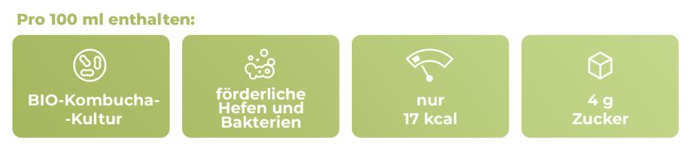 BIO Kombucha - GymBeam