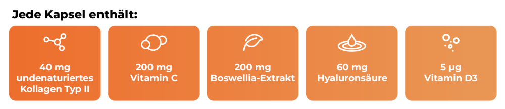 Kollagen Typ II Gelenkkomplex - GymBeam