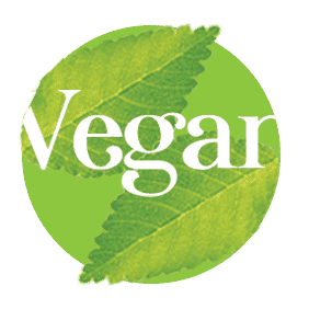 Organic Vegan chilli bean soup - Auga