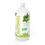 ReHydrate Ionenversorgungs-Drink - GymBeam green tea lime