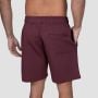 Relay Shorts Fig - GymBeam XL