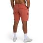 Shorts in Washed Terra - STRIX XL