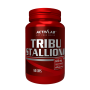 Tribu Stallion - ActivLab 60 Tbl.