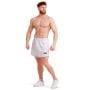 Unity Shorts in Grey - GymBeam xl