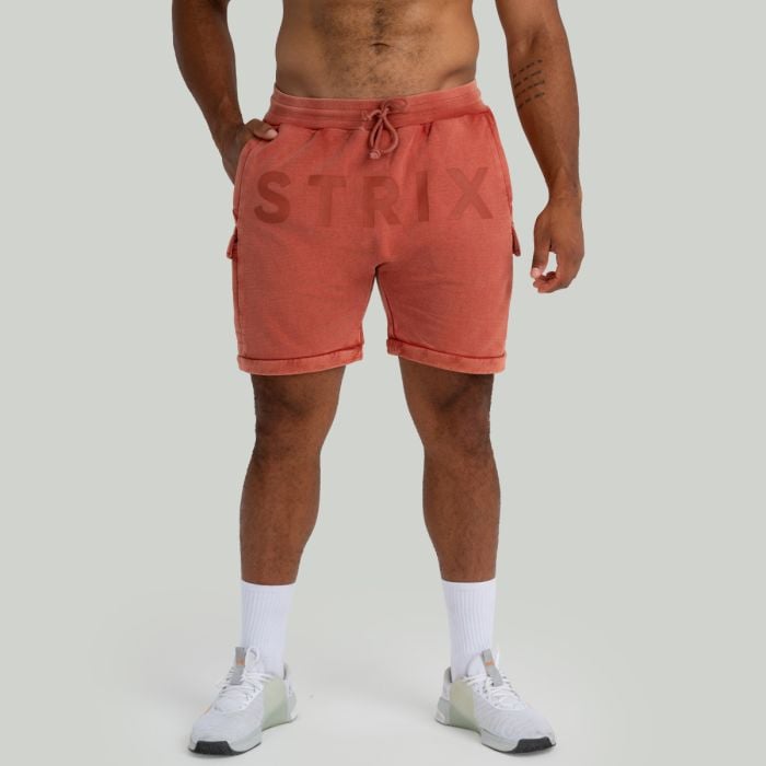 Shorts in Washed Terra - STRIX XL