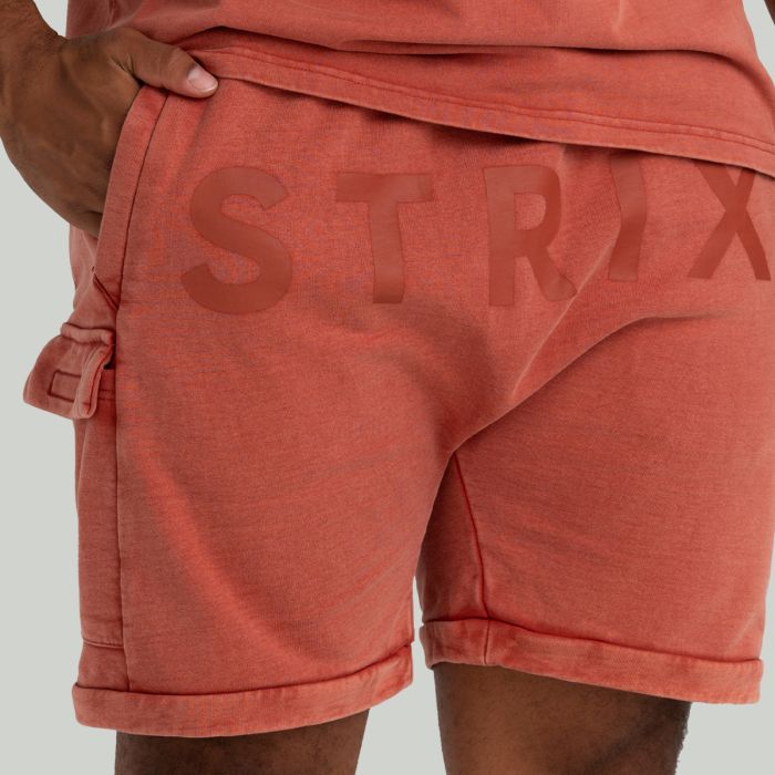 Shorts in Washed Terra - STRIX XL