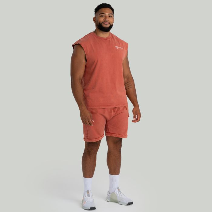 Shorts in Washed Terra - STRIX XL