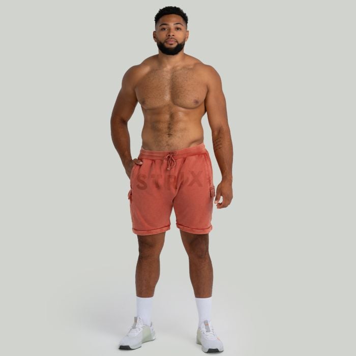 Shorts in Washed Terra - STRIX XL