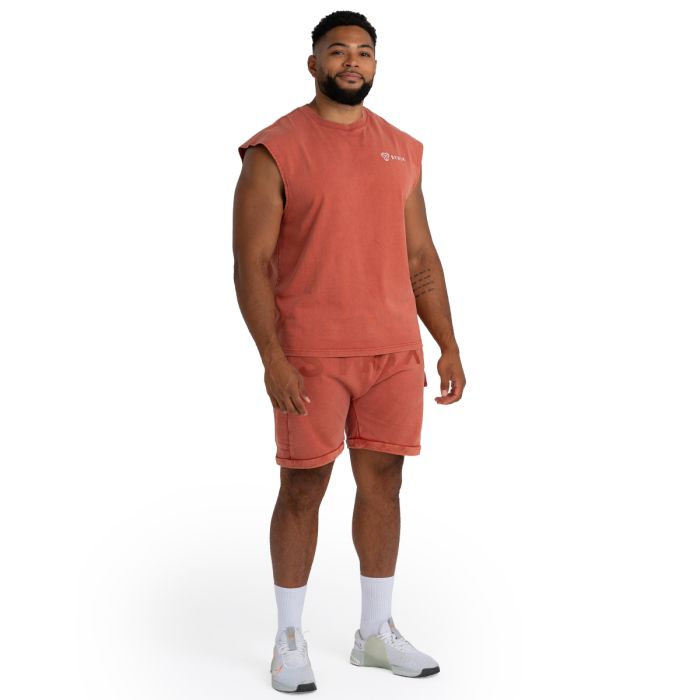 Shorts in Washed Terra - STRIX XL