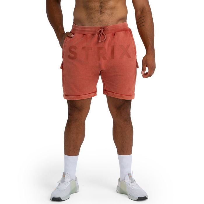 Shorts in Washed Terra - STRIX XL
