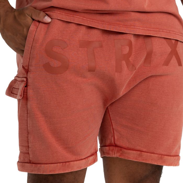 Shorts in Washed Terra - STRIX XL