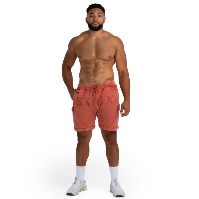 Shorts in Washed Terra - STRIX XL